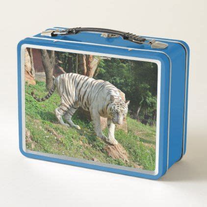 Tiger Metal Box 